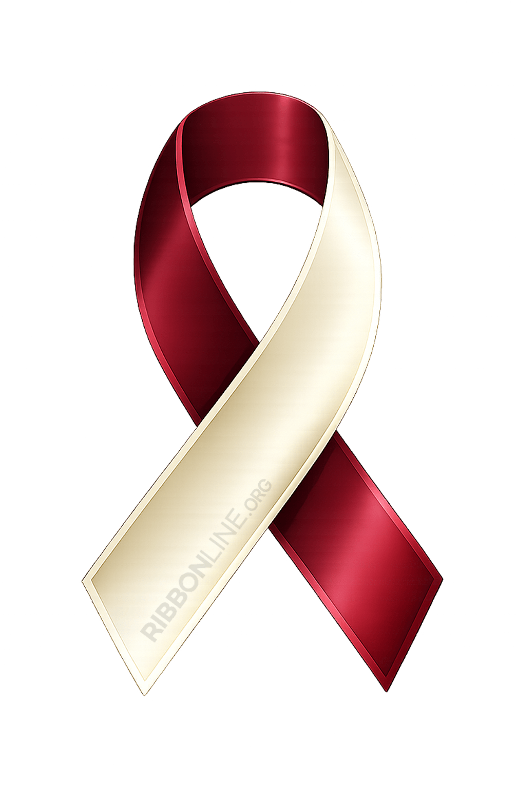 Burgundy Ivory Ribbon