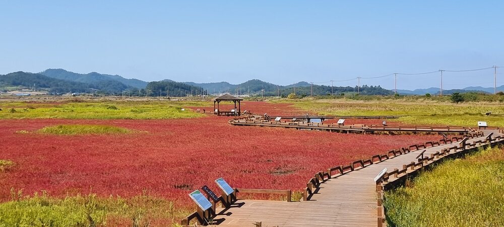 소금창고를 예술 공간으로 재해석한 아트 프로젝트 ‘소금의 시간’ 첫 공개